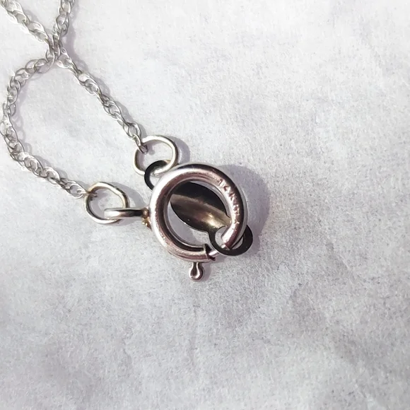 Taj Jewelers 10k white gold & diamonds pendant on 14k white gold singapore chain - Picture 12 of 12